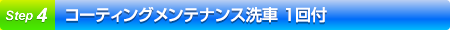 コーティングメンテナンス洗車 1回付