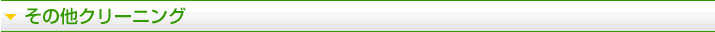 その他クリーニング